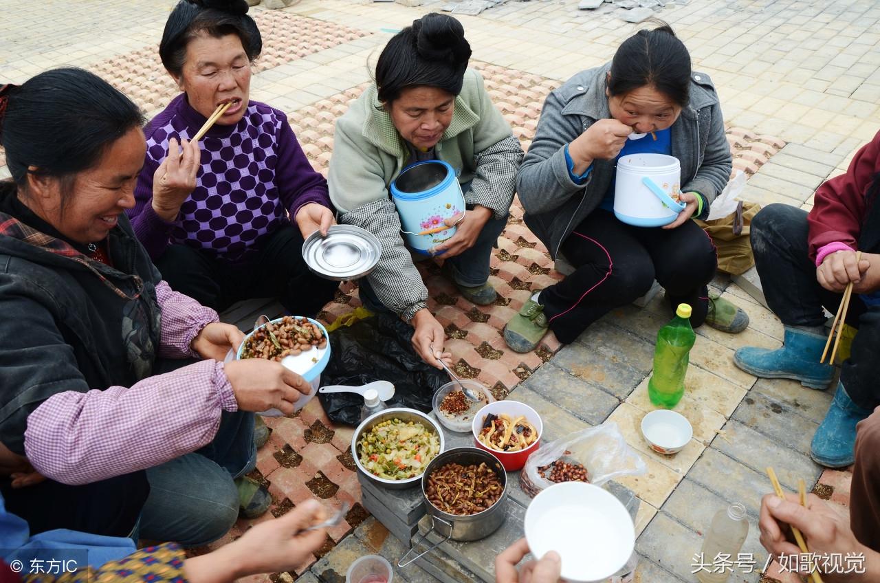 网络乱象揭秘，直播间里的狂欢与反思