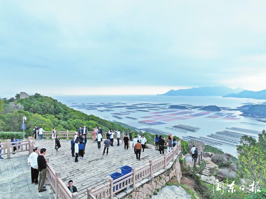 无限曙光最新章节，未知神秘之旅的探险征程