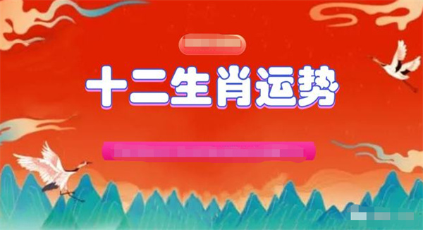 2024年一肖一码一中一特,决策资料解释落实_动态版55.903