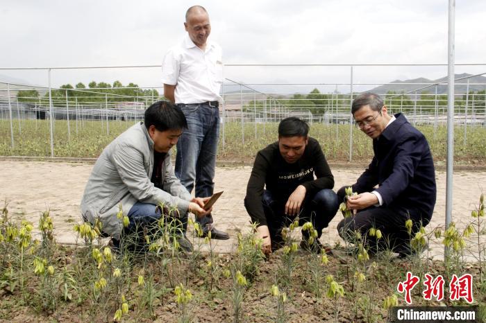 澳门资料大全正版资料2024年免费脑筋急转弯,动态词语解释落实_Superior53.689