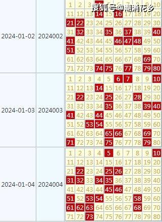 2024年天天开好彩大全,稳定评估计划_FHD30.739