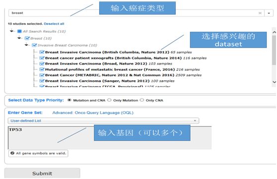 澳门免费公开资料最准的资料,系统化评估说明_macOS12.30