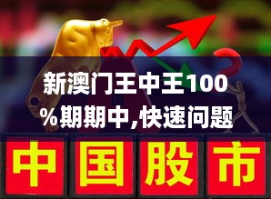 澳门精准王中王免费公开,最新核心解答落实_DP90.939