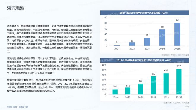 2024正版资料免费公开,数据引导计划设计_D版63.877