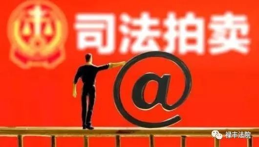 云南最新拍卖公告全面解读