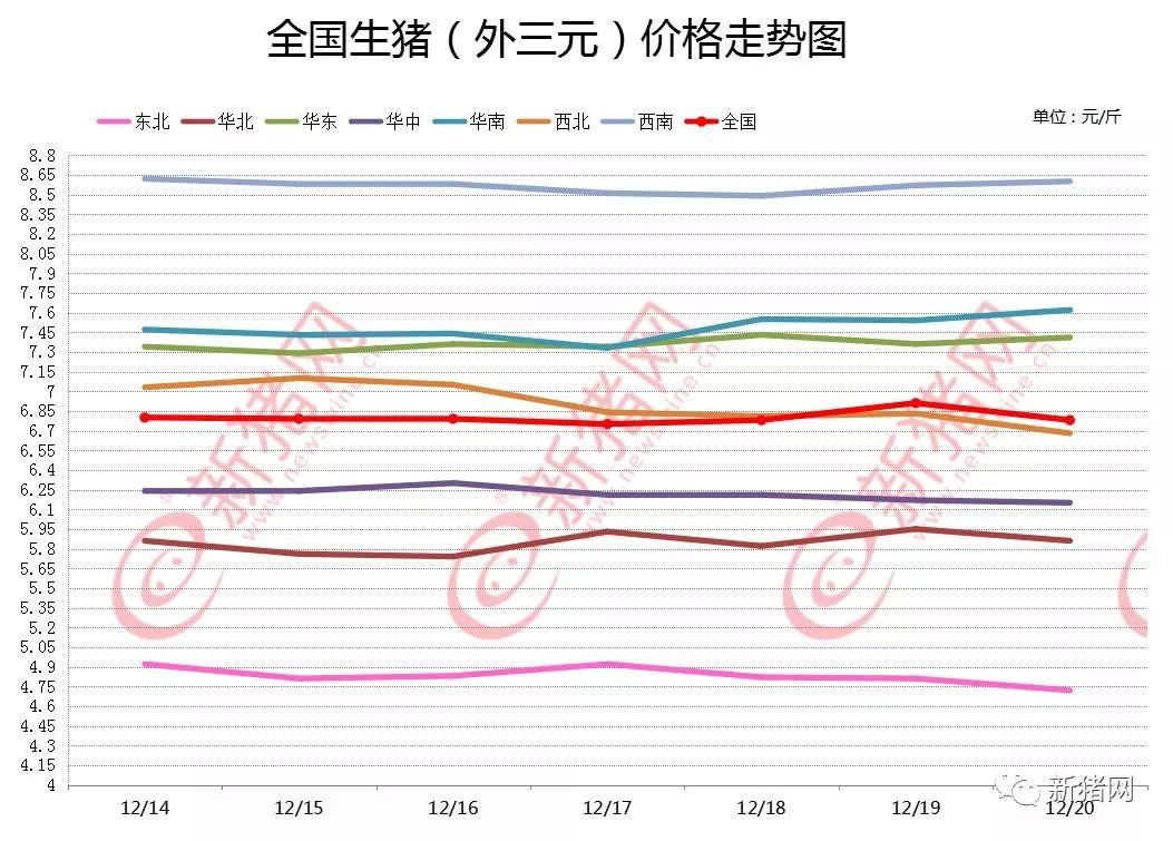 宿州生猪价格最新动态分析