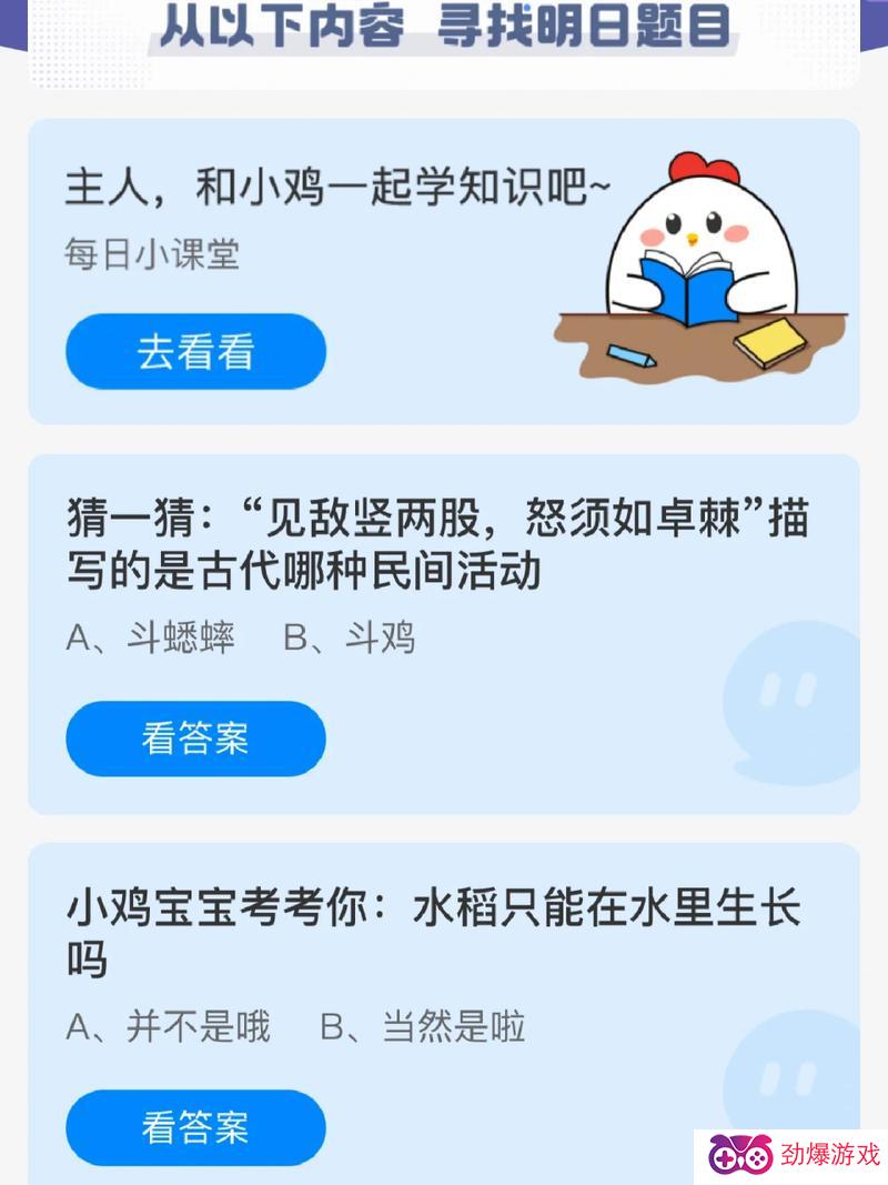 最新小鸡答案揭秘，探索未知世界的奇妙之旅