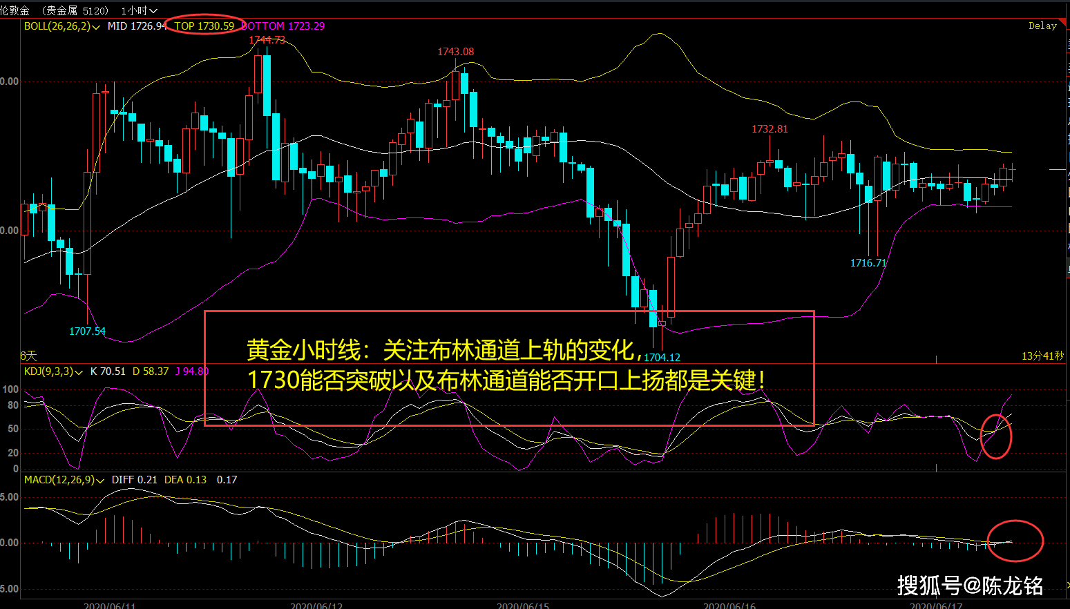 白小姐今晚特马期期准六,数据解析支持策略_3DM56.316