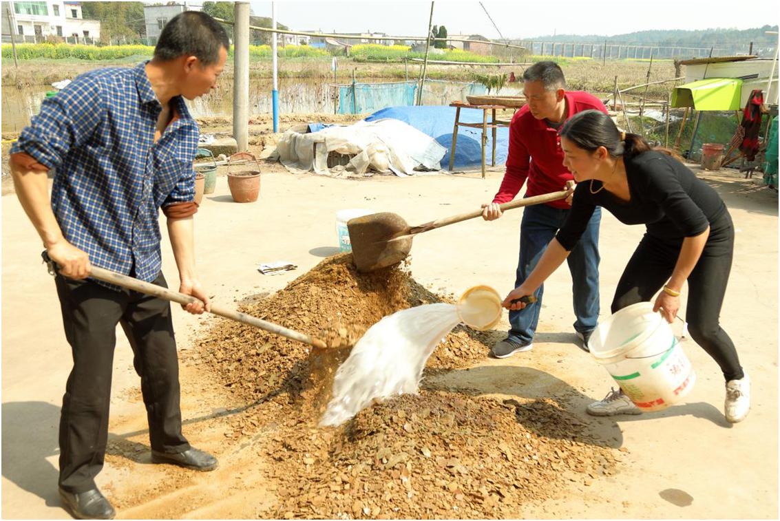 湘潭市农业局最新项目，引领农业现代化，助力乡村振兴