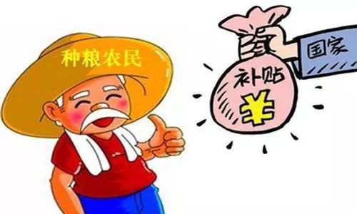 最新粮补贴政策及其对农业发展的深远影响