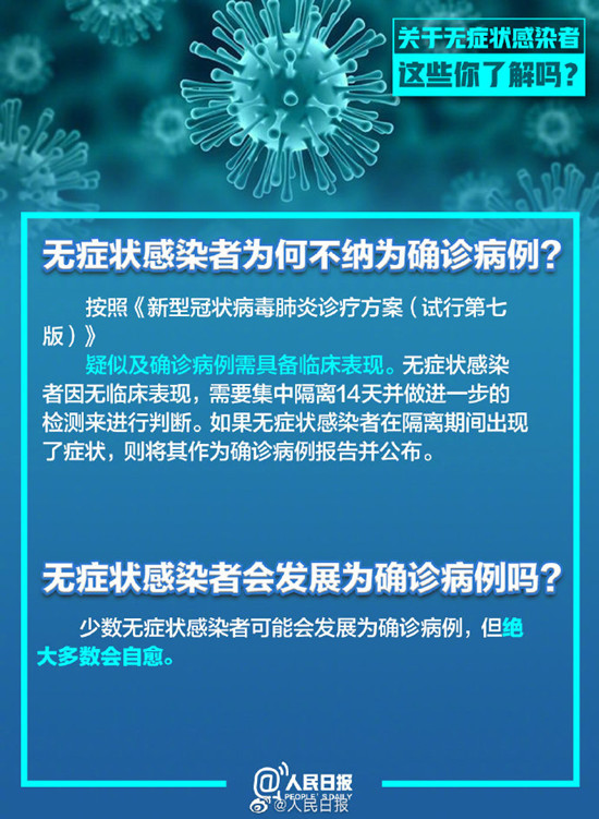 2024年12月26日 第17页