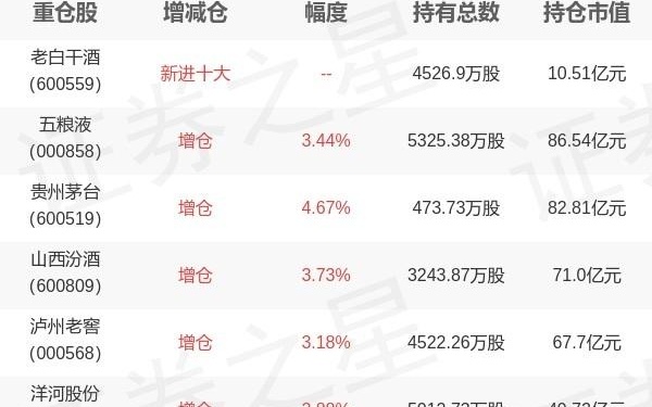 基金最新持仓策略与市场洞察解析