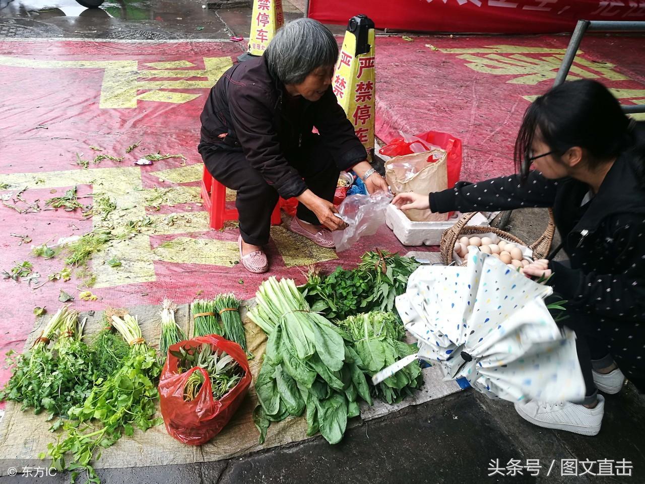 菜地高效浇水技术与实践探索