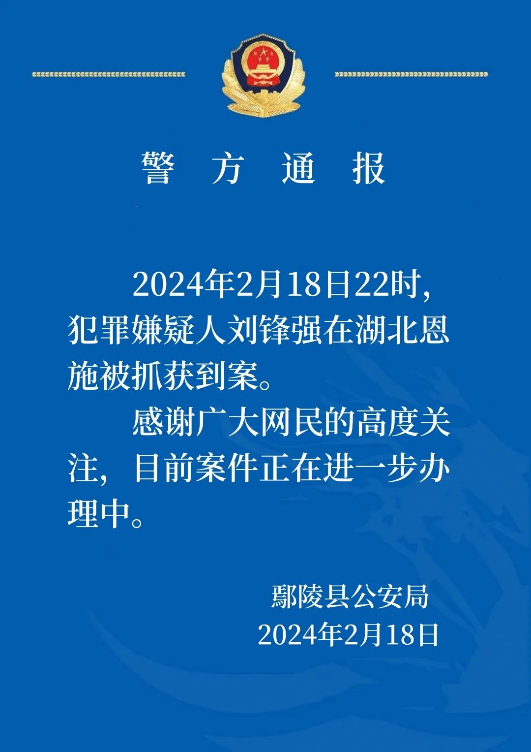 最新刑事案件深度剖析