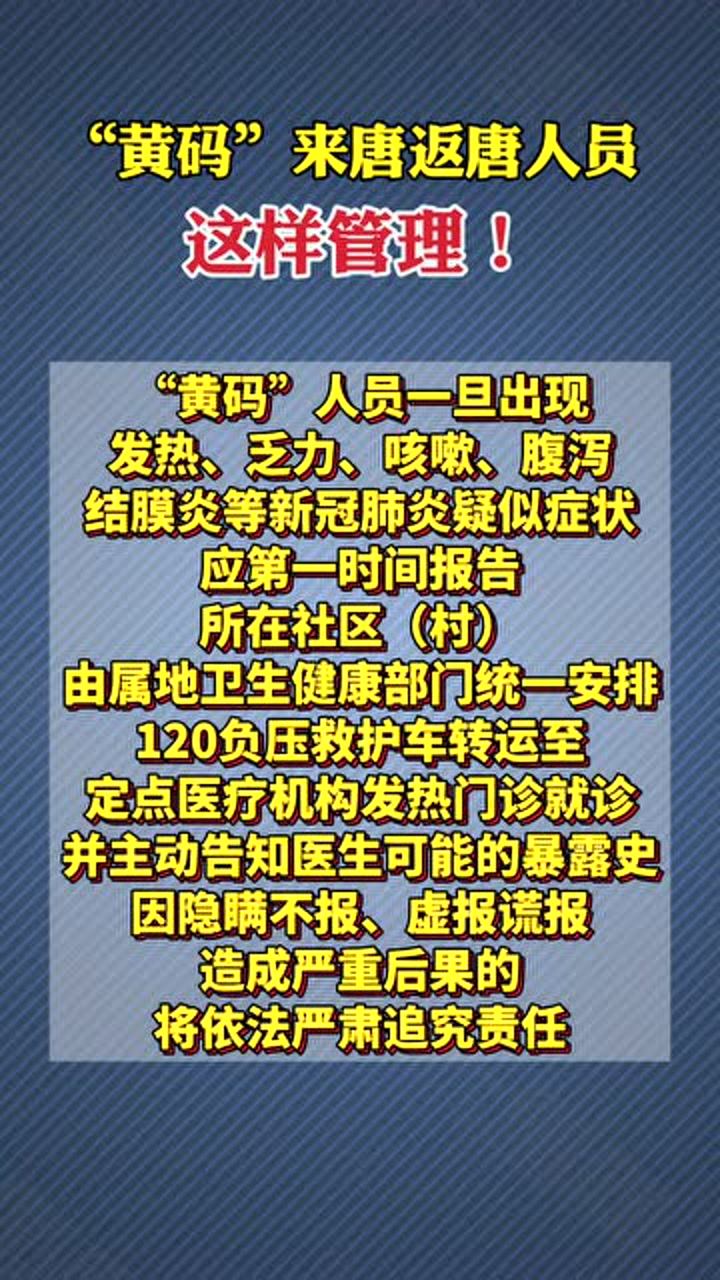 返唐潮流新趋势，历史文化复兴的现代演绎