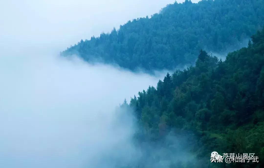 闪木引领变革，塑造未来新篇章