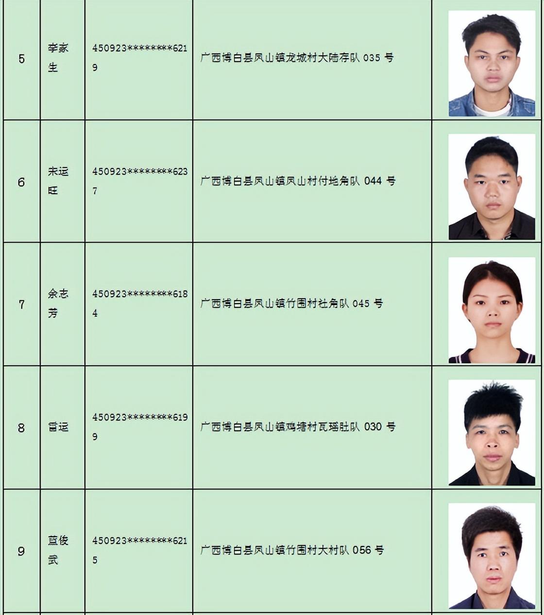 博白最新通告引领地方发展新动态